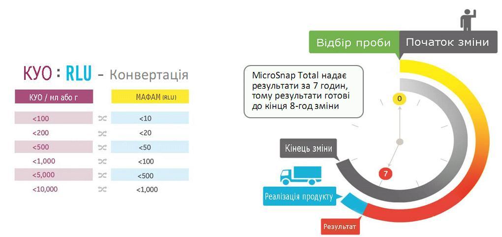 Временная инфографика 7 часов